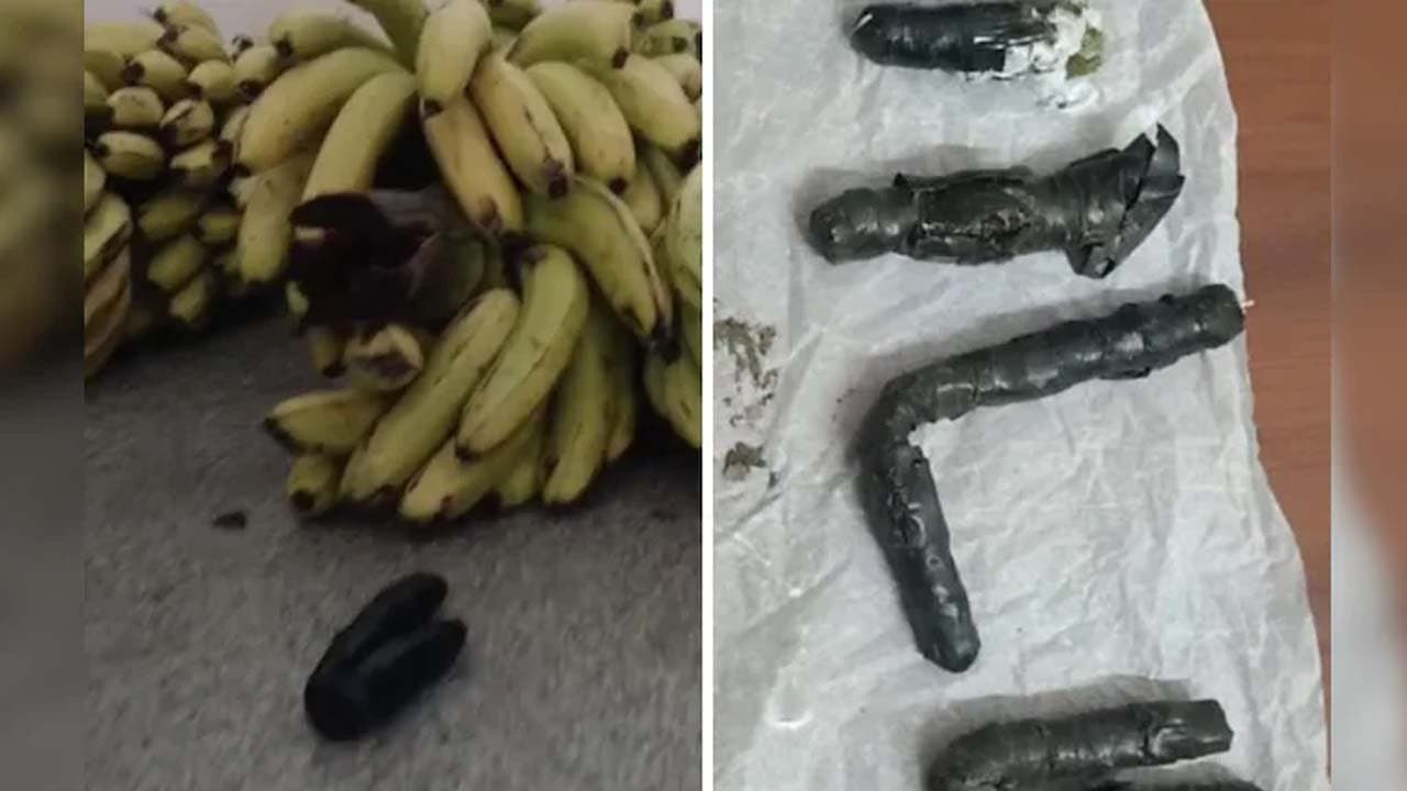 Cigarettes marijuana stuffed inside banana stems found in Karnataka Shivamogga central prison