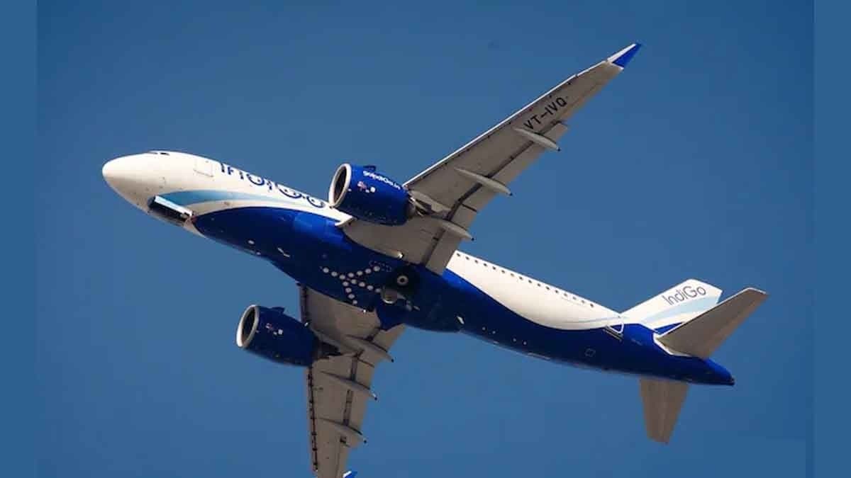 Man Arrested For 'Molesting' Woman Aboard Delhi-Chennai IndiGo Flight gnr