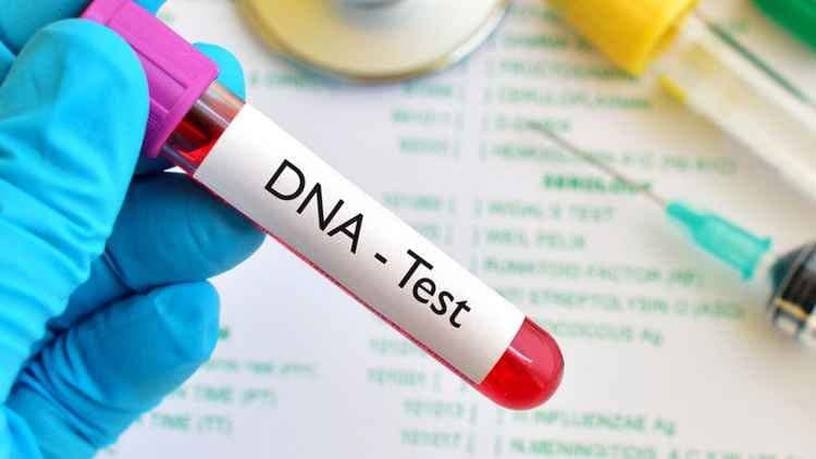 Women feeling bored, decided to take DNA test, then shocking discovery gnr 