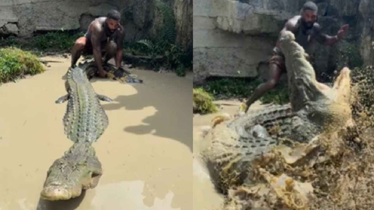 Man tries to grab crocodile s tail and faced a close call of life