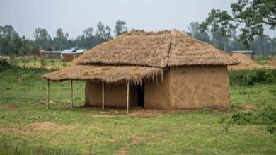  60 Cobras With Raised Hoods Found in Hut Sparked Panic In Madhya Pradesh Village