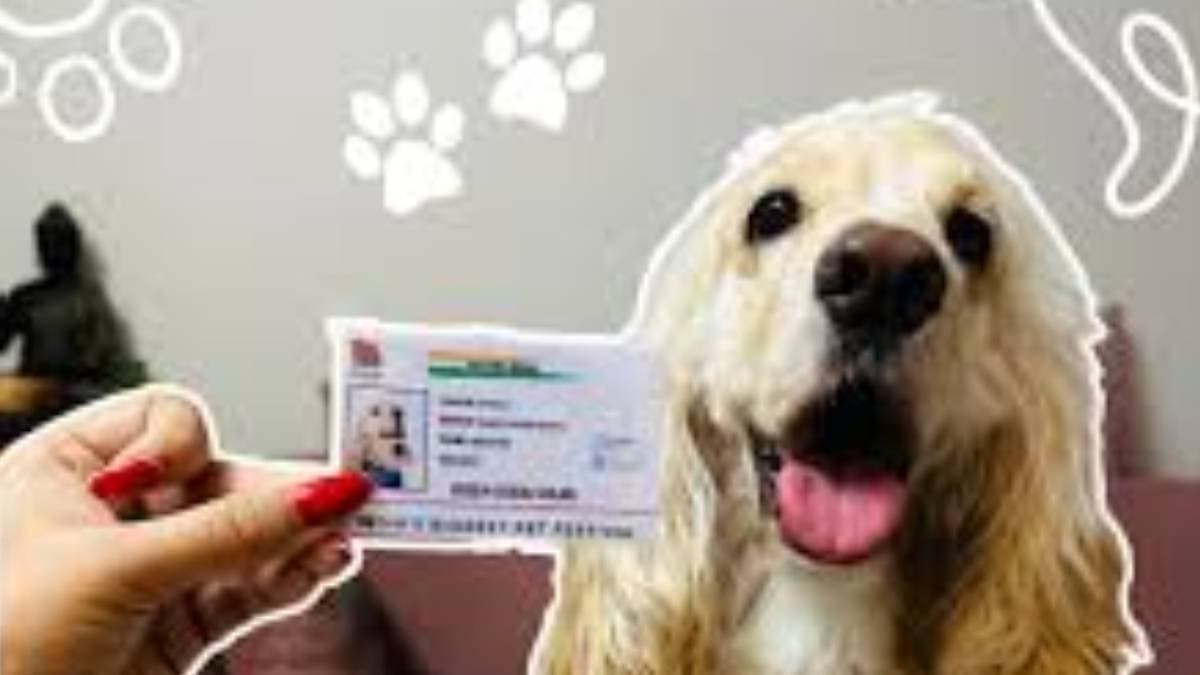 Is India turning to be a bureaucratic dictatorship