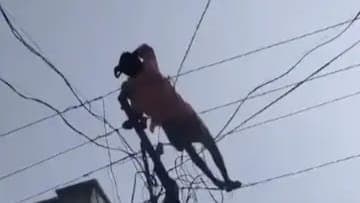 Drunk Man Climbs Electric Pole In Andhra pradesh, Goes To Sleep On Wires Mid Air gnr 