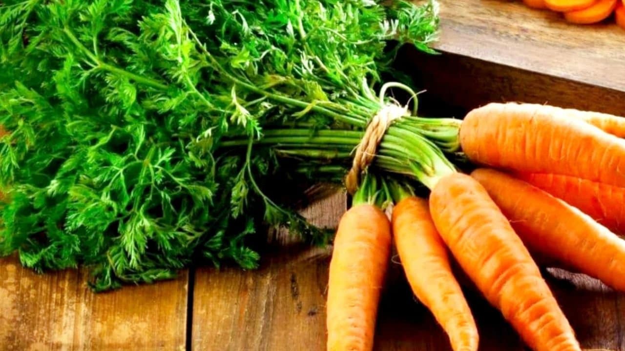 Health tips benefits of eating carrot leaves