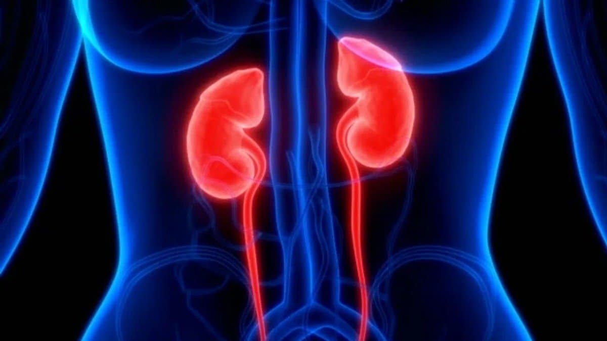 These worst foods slowly damage kidneys know what are the best alternatives for kidney health 