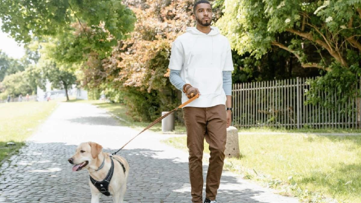 Chhattisgarh man killed with axe after pet dog bark sparks dispute