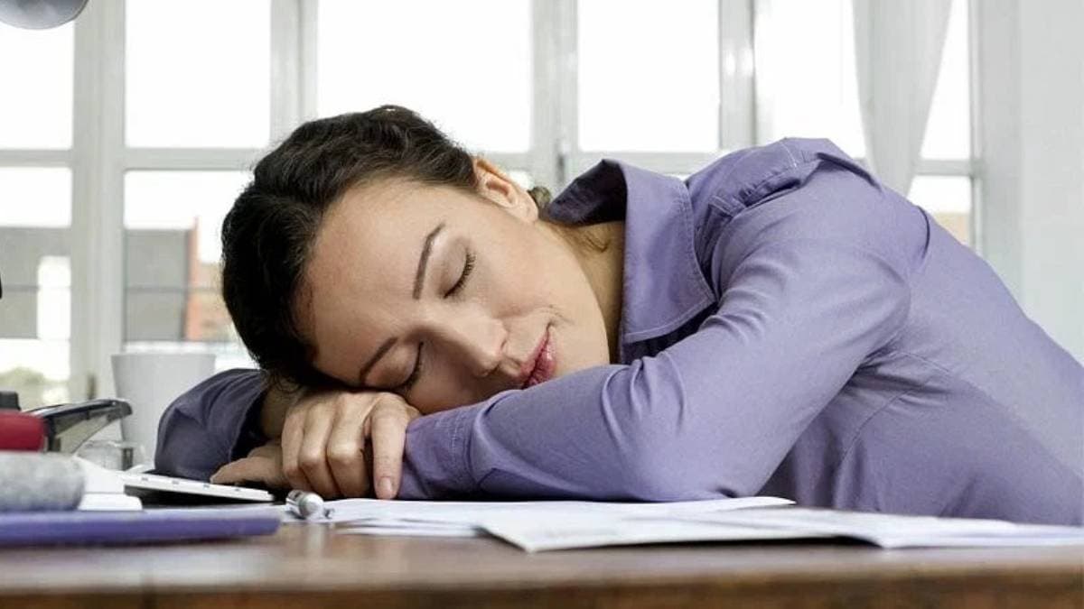 why you feel sleepy and tired all day know the reason lif