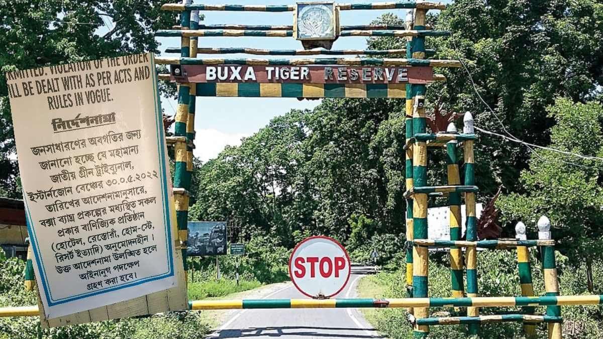 Tourist Season Sees Deserted Buxa as Hotels and Homestays Shut in Tiger Reserve Forest Area gnr