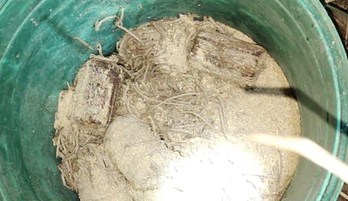 Bomb Found: ‌সুতলি বোমা উদ্ধারে চাঞ্চল্য খড়গ্রামে