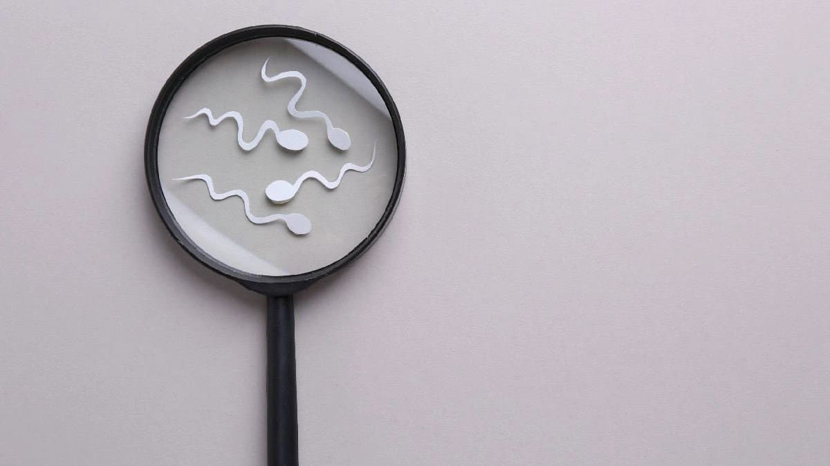 How to know your Seed Health during Physical Intimacy