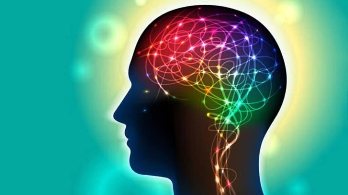 Scientists erase memories from brain by using blue light