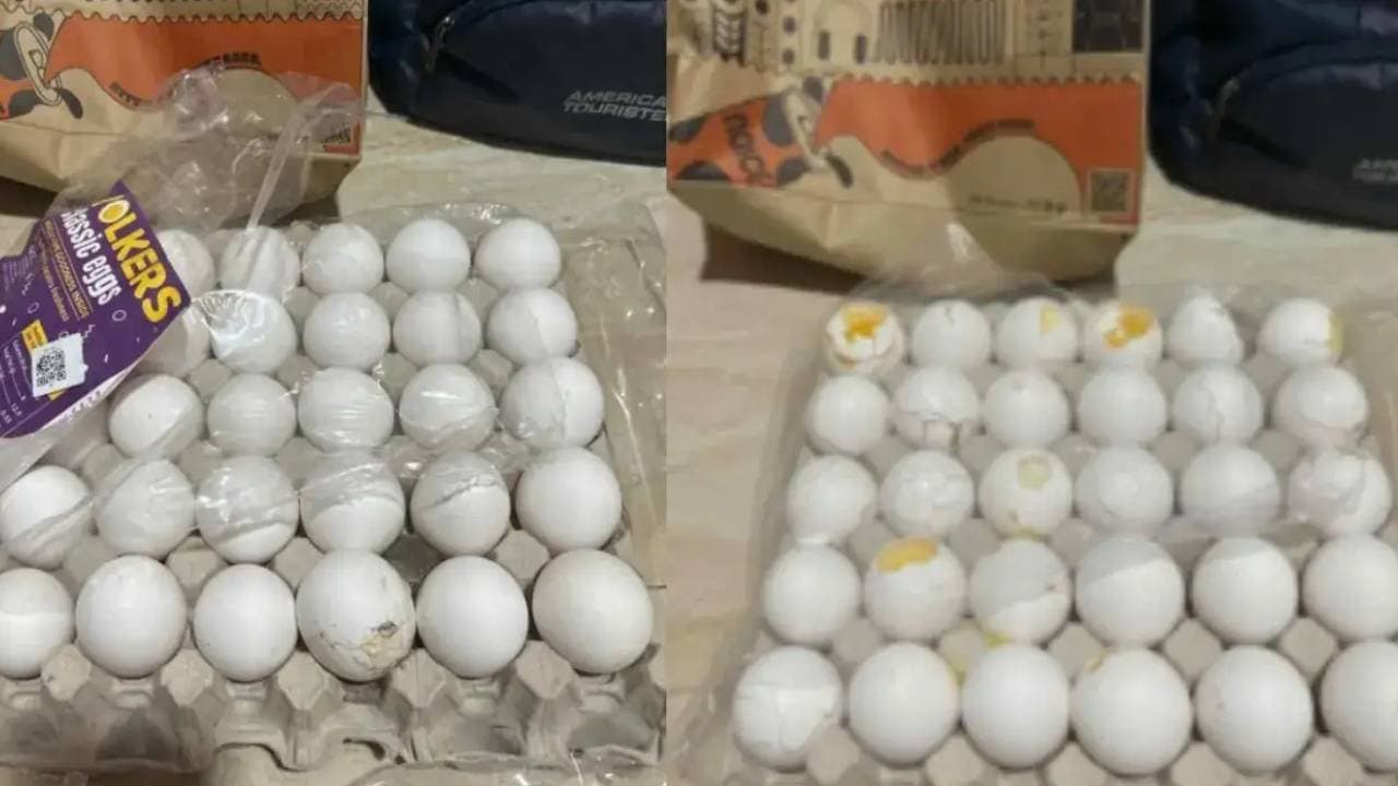 AI দিয়ে নকল ডিম্ বানিয়ে 'প্রতারণা' গ্রাহকের 