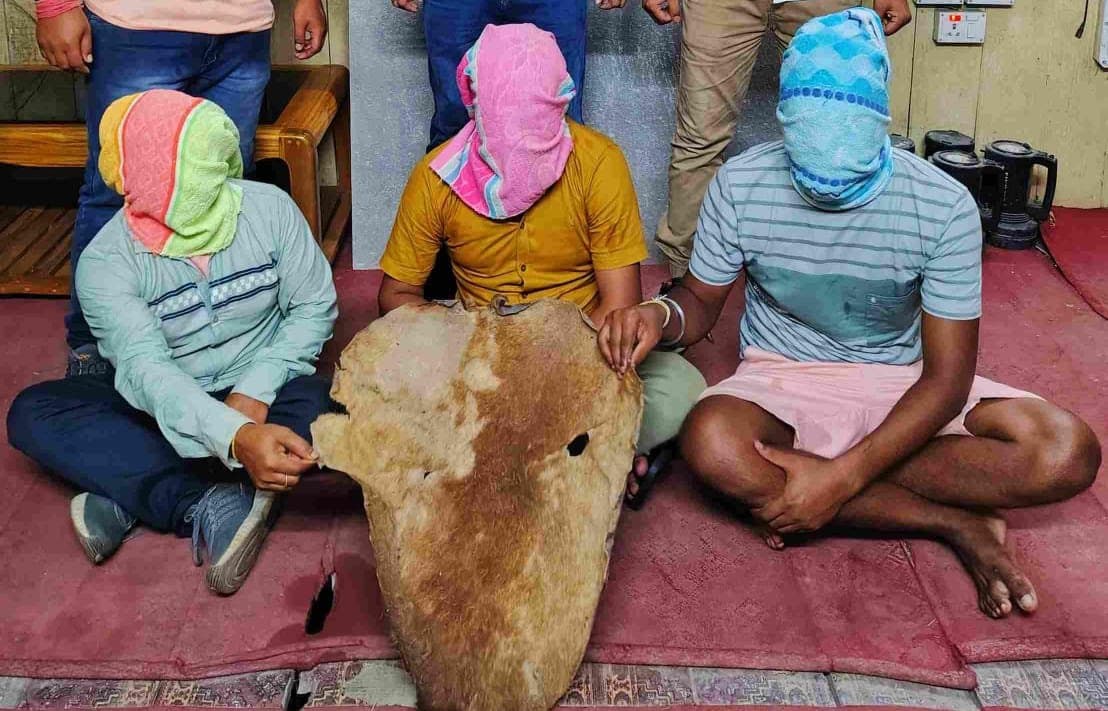 জলদাপাড়া জাতীয় উদ্যানে হগ ডিয়ার চামড়া ও প্যাঙ্গোলিনের আঁশ সহ গ্রেপ্তার তিন পাচারকারী
