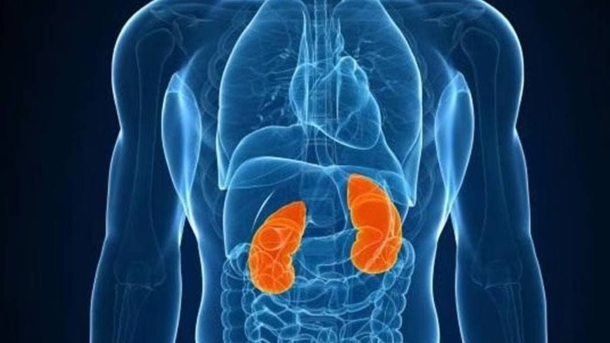  These  symptoms while sleeping indicate your kidney is completely damaged 