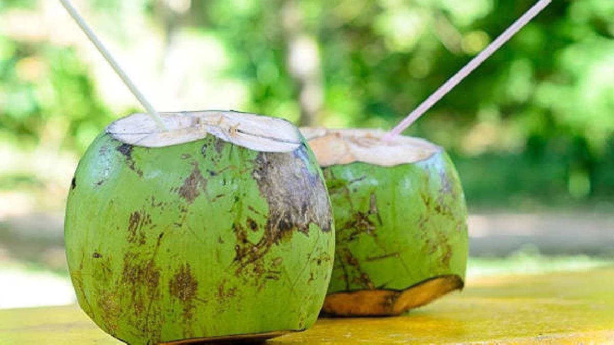 Vendors injecting coconuts with chemicals just to make them look fresh and big