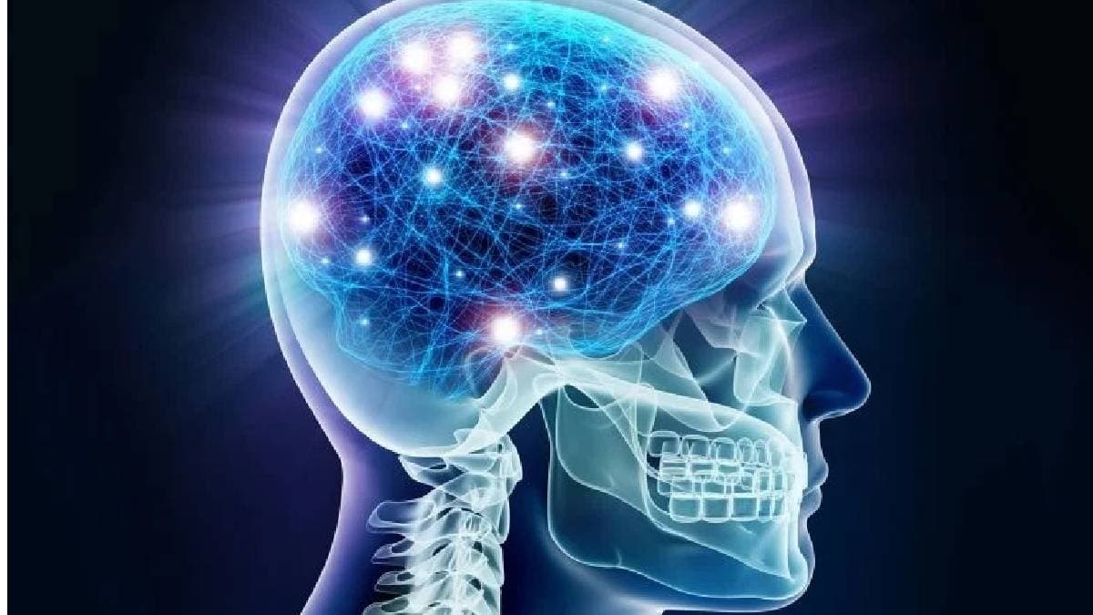 Scientists Discover That Memories Are Not Only in the Brain gnr