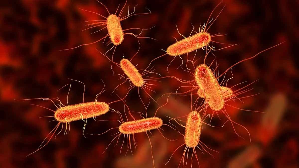 E-coli infections are on the rise worrying doctors
