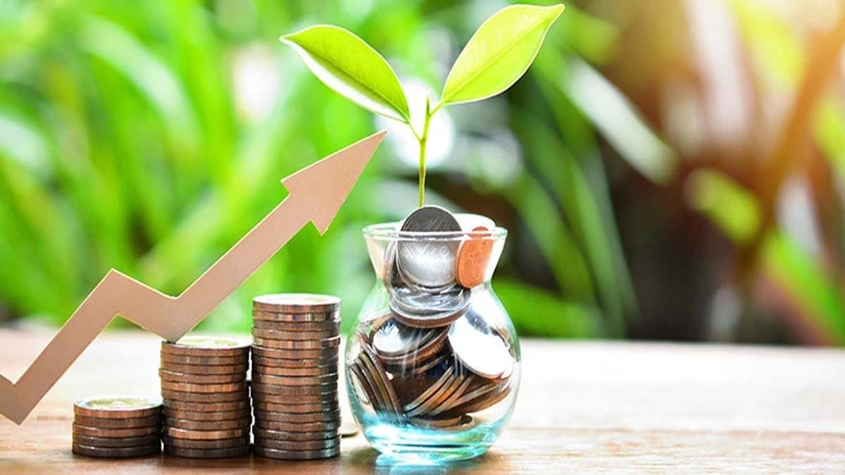 What is the interest rate for senior citizens on FDs of these four small finance banks How much will you get for investing Rs 10 lakh