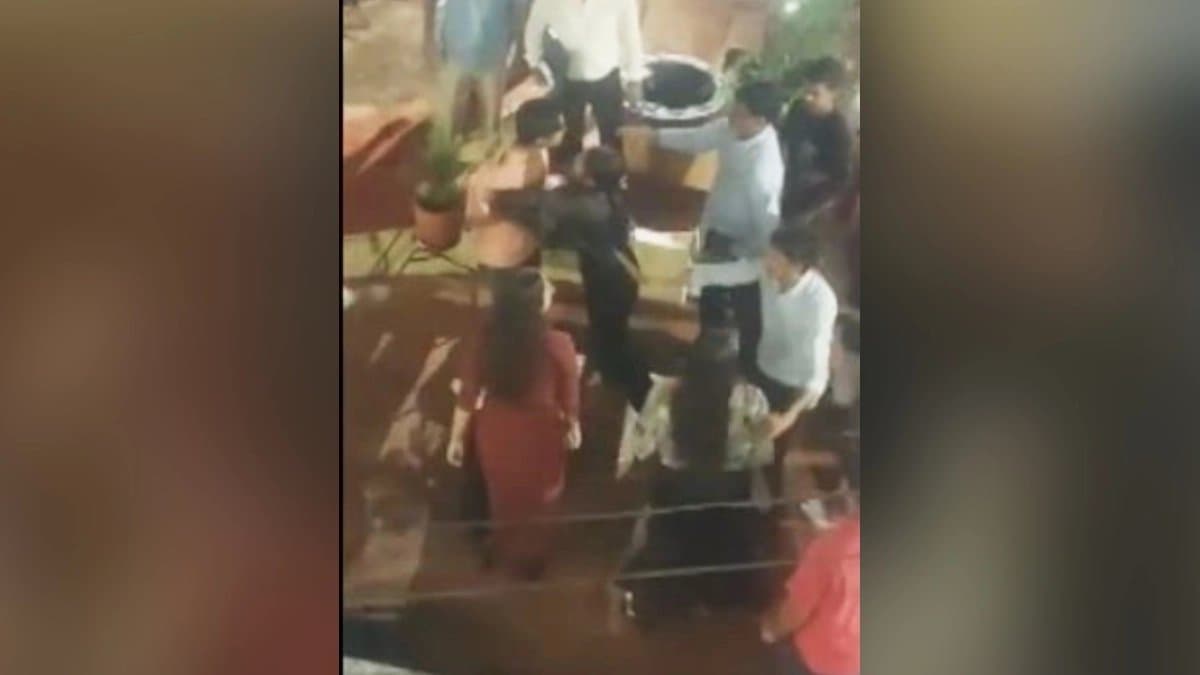 এ বলে ওটা আমার, সে বলে তার, ভিড় রেস্তোরাঁয় একেবারে চুলোচুলি কাণ্ড, মার খেলেন কর্মীও! ভিডিও ছড়াচ্ছে হু হু করে