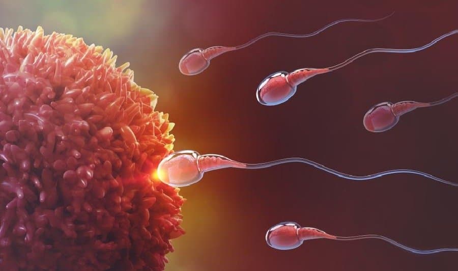  62-year-old woman wants to become a mother from her dead husband's sperm!