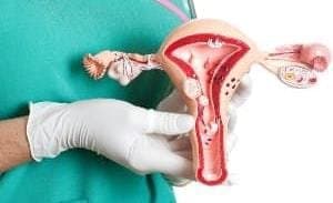 Vaccine for Cervical cancer can fight for this disease and gives you protection from this cancer lif
