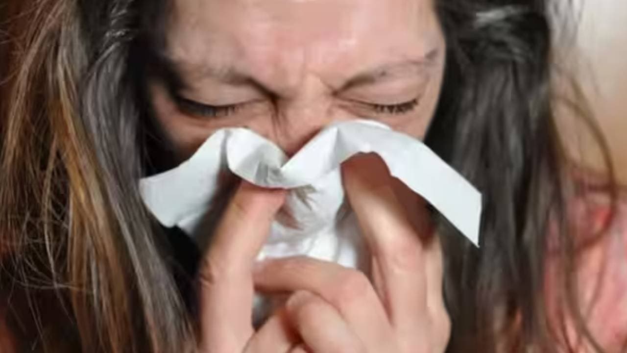 6 Must-Have Herbs For Winter