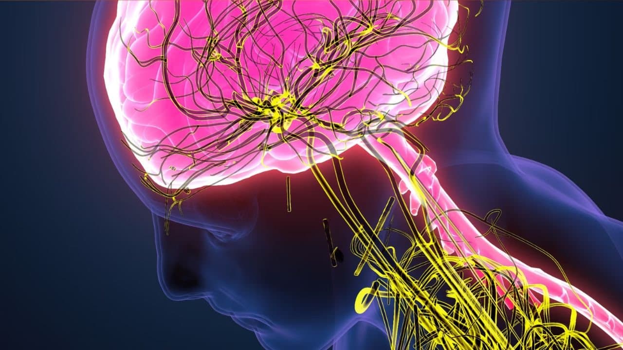 Foods to keep nerves strong in winter