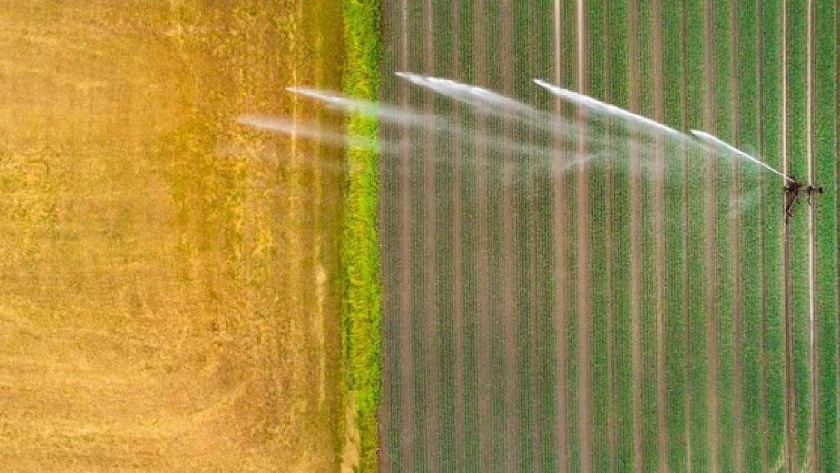 Can water be harvested from air Scientists turn dream into reality gnr 