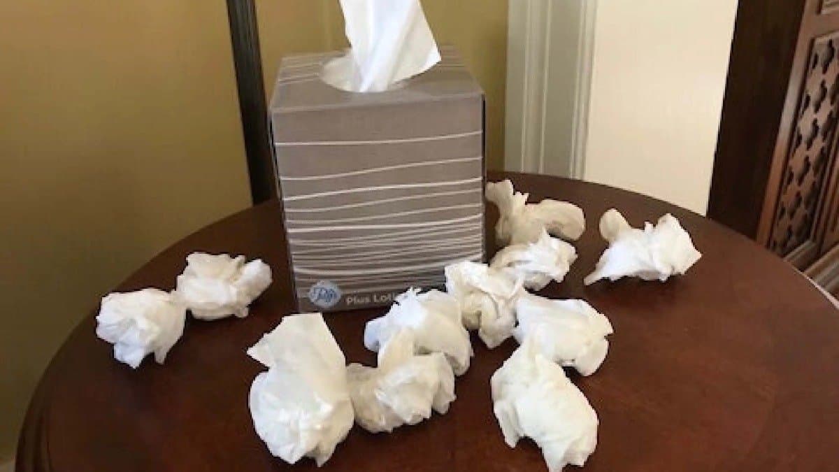 Boss decided to give a self-pleasure break to her employee