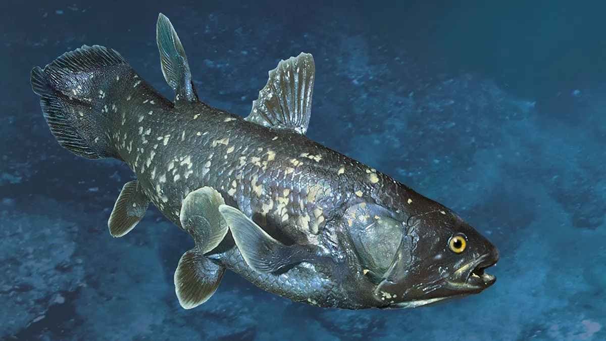Worlds oldest fish was presumed for 60 million years and now rediscovered