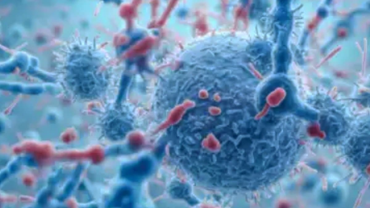 HMPV update WHO says Seasonal surge in respiratory infections reported across northern hemisphere gnr