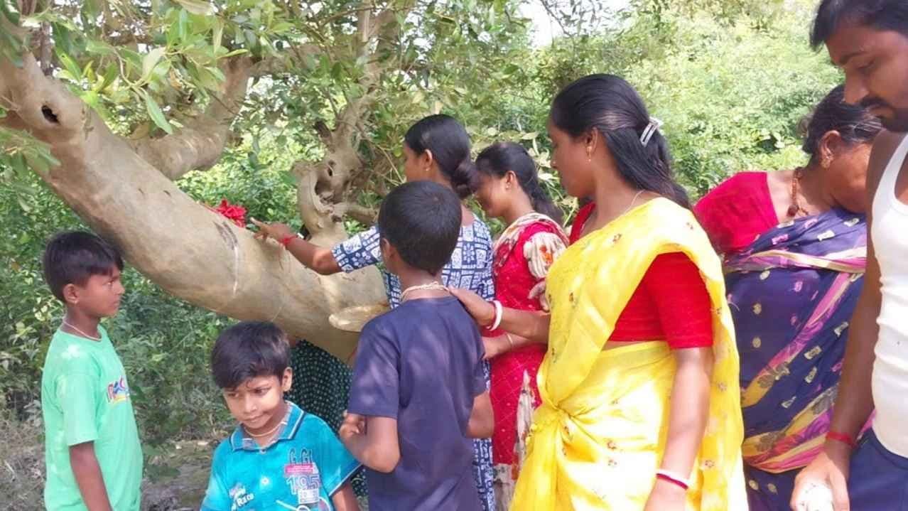 Kultali village women gives bhai phota to Mangrove forests gnr 