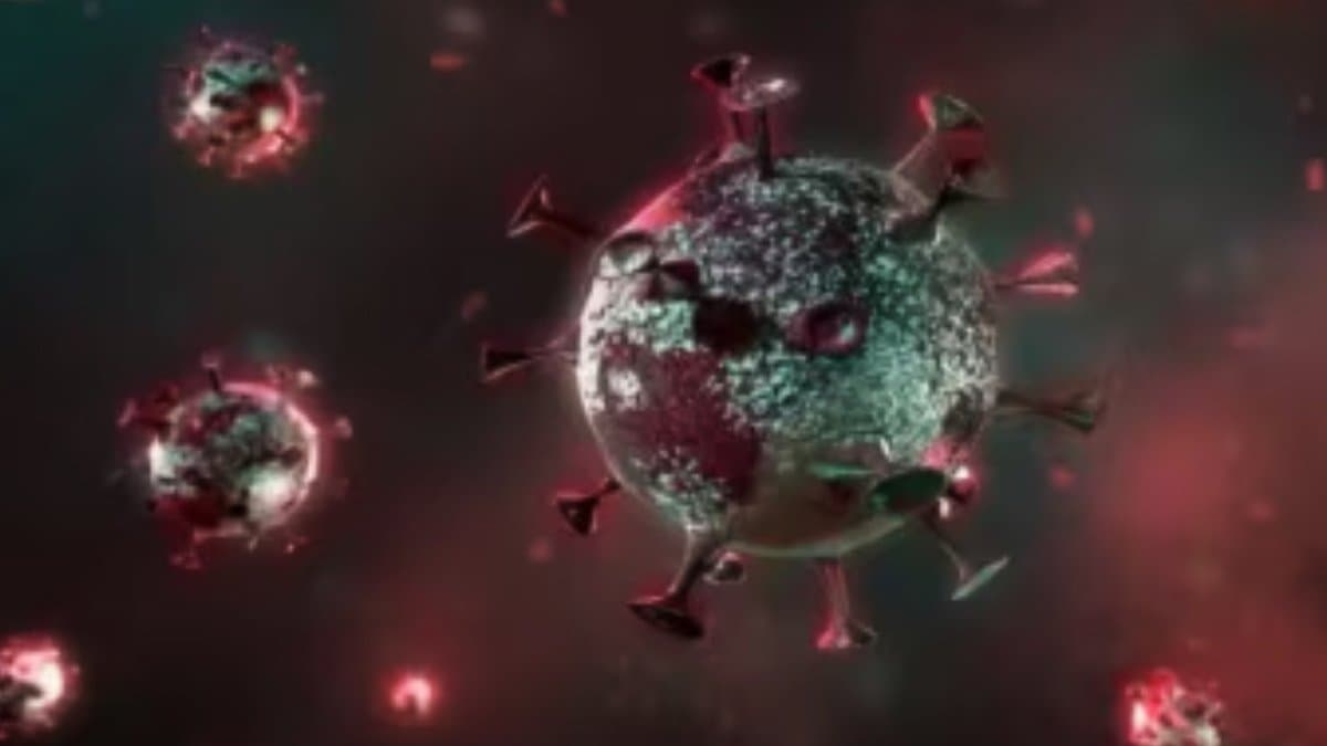 HMPV Update Tamil Nadu detects two cases of Human Metapneumovirus gnr 