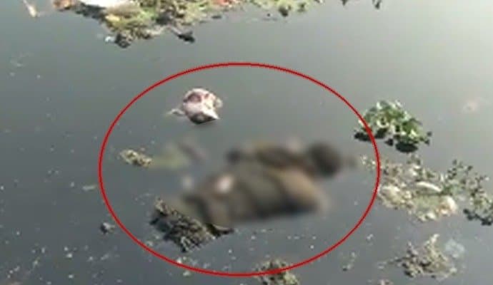 dead body found of a youth in kolkata