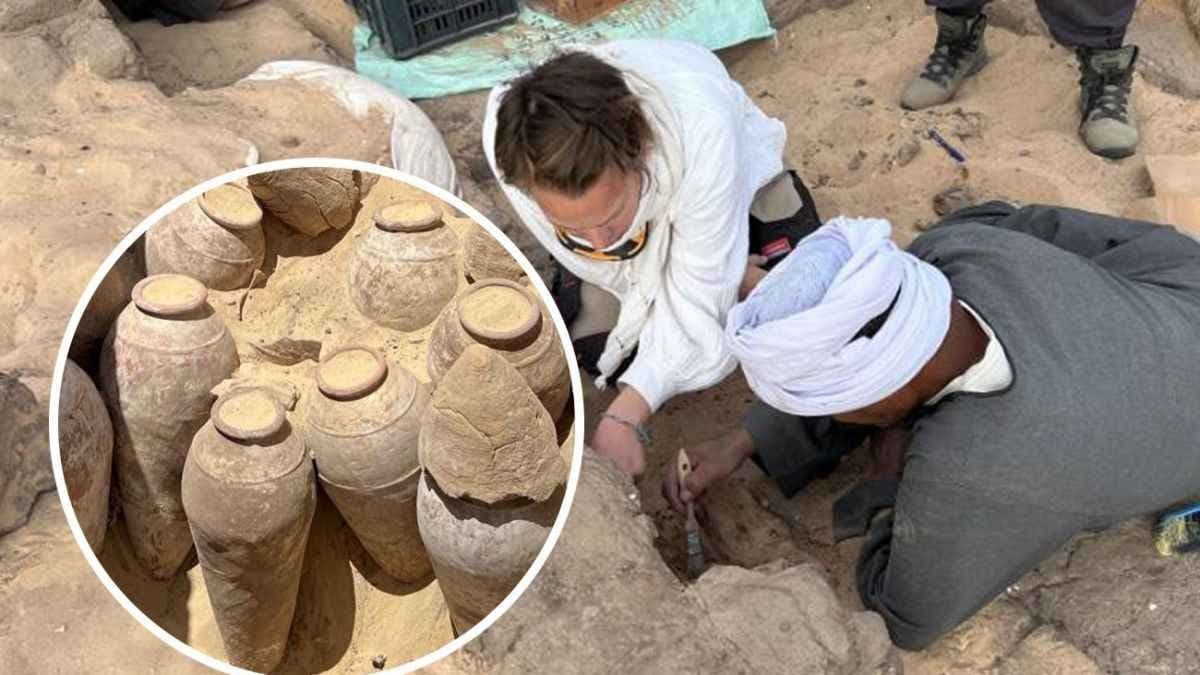  5000 year old wine of Egypt reveal science of wine making