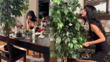 Woman Shares Her Experience Of Dating A Tree gnr 