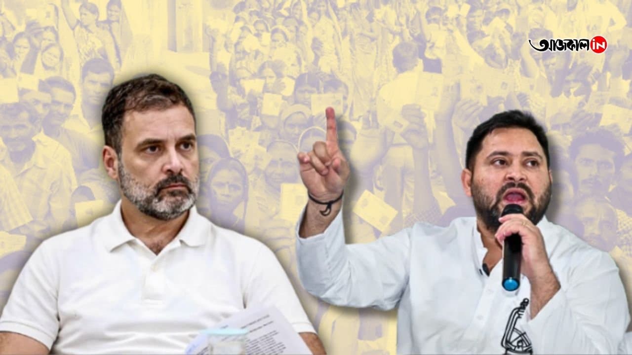 বিহার ফলাফল নিয়ে আদালতে যাবে মহাজোট?