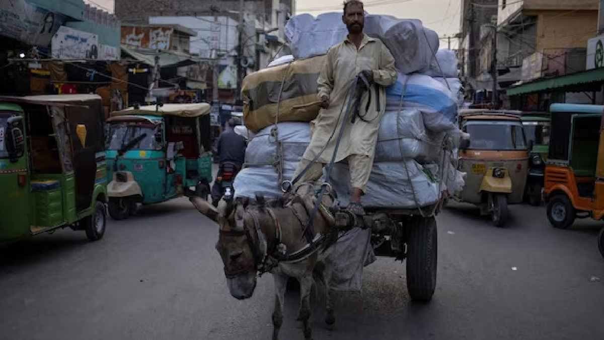 Pakistan donkeys demand increase in China hurting the poor of Pakistan 