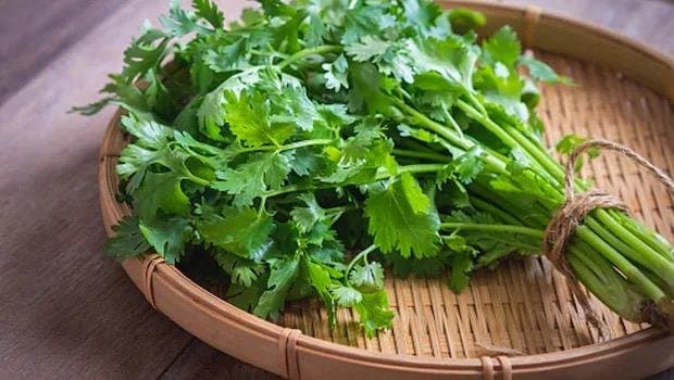 Women Health: রাতে ঘুমের মধ্যে ঘামছেন, হট ফ্লাশ হচ্ছে? চুমুক দিন এই পানীয়তে, মুশকিল আসান হবে নিমেষে 