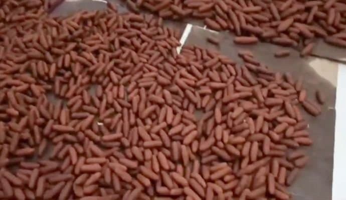 Health Department: ল্যাংচা খাওয়ার আগে দেখে নিন ছত্রাক আছে কিনা, নামী দোকানে অভিযান চালিয়ে ৩ কুইন্টাল ল্যাংচা বাজেয়াপ্ত স্বাস্থ্য দপ্তরের 