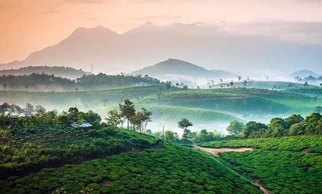 Travel: বর্ষায় ঘুরে আসুন কেরালার ওয়ানাদ, রইল খুঁটিনাটি 