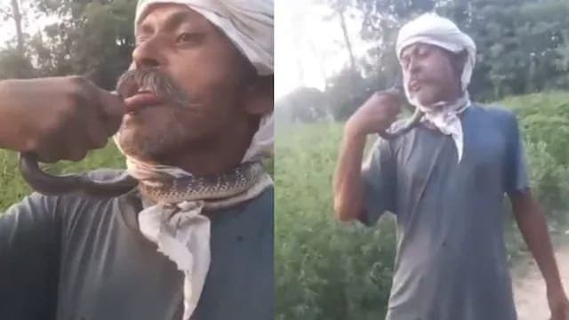 Man Admitted In ICU After Kissing Poisonous Snake in Uttarpradesh
