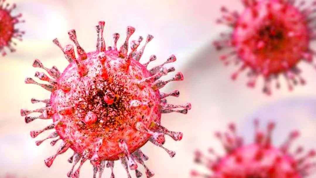 Bleeding eye disease caused by Marbug virus alert issues after 15 deaths gnr