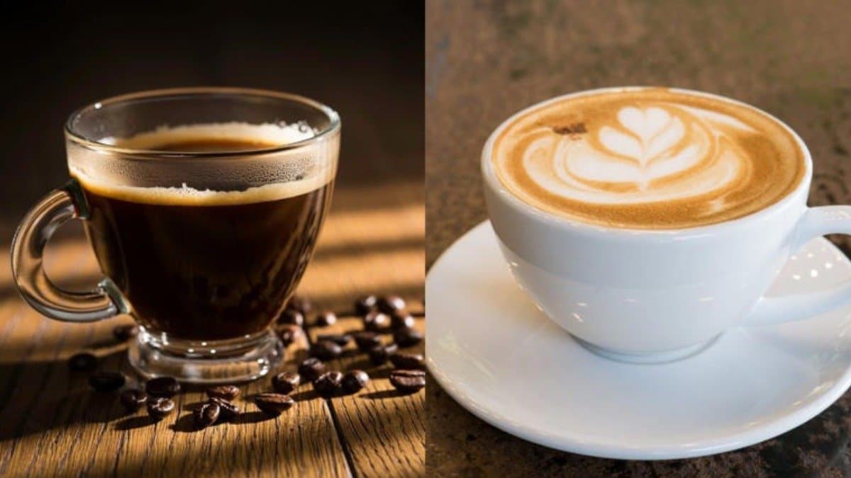 Black Coffee And Milk Coffee Which is The More Healthy Morning Drink 