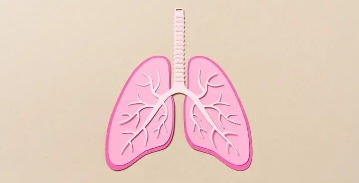 Lung Cancer: ফুসফুসের ক্যানসারের সব থেকে বড় কারণ কী? প্রয়োজনীয় তথ্য জানালেন ডক্টর মাইতি!