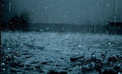 Weather Update: স্বস্তির বৃষ্টি, শহর থেকে জেলাজুড়ে ভিজল দক্ষিণবঙ্গ