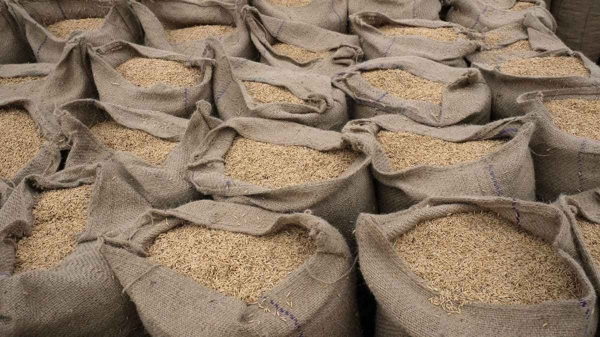 Indonesia to buy 10 lakh tonne non basmati white rice from India gnr