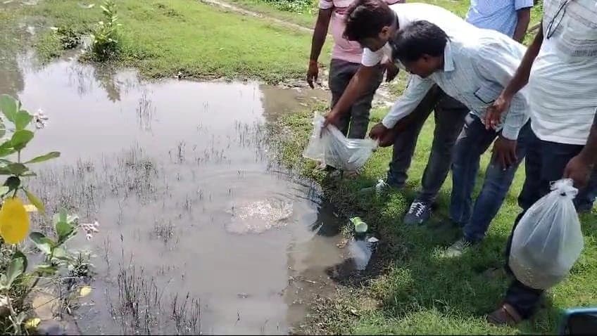 Tool decision to prevent dengue at murshidaabad gnr 