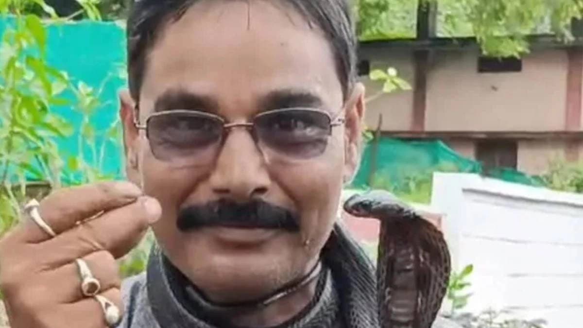 Madhya Pradesh man dies after cobra bites on his neck