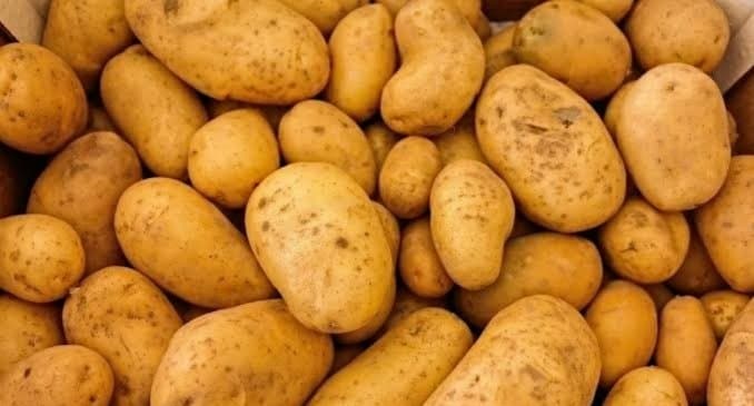 State government will buy potatoes! Update gnr